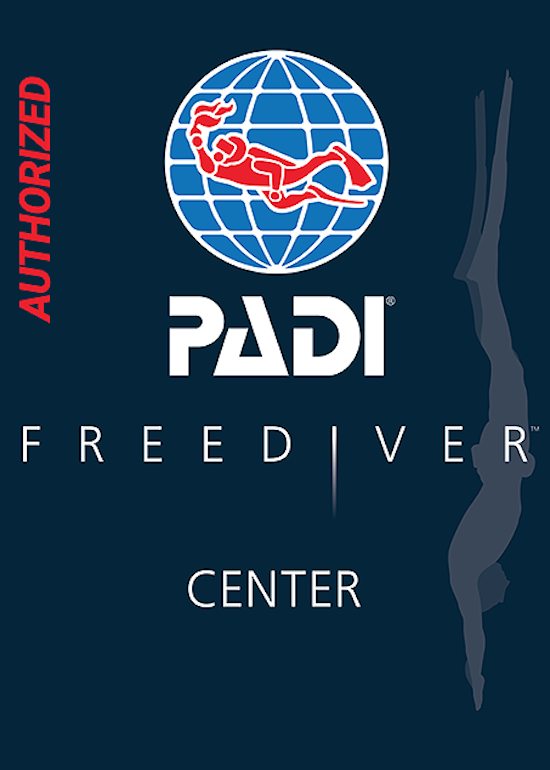 PADIフリーダイバーセンターのロゴ