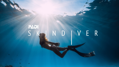 PADIスキンダイバーコースの受講風景