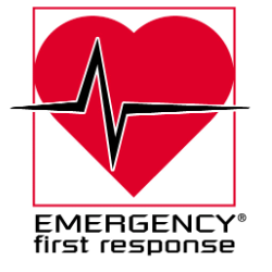 EFR(応急救護)講習はフリーダイバーに必須